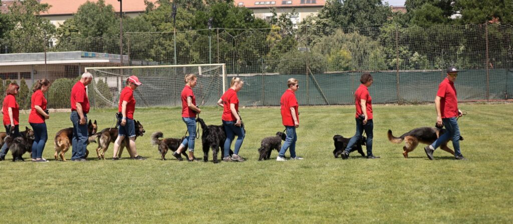 NISZ-nap bemutató – 2022. június 13.