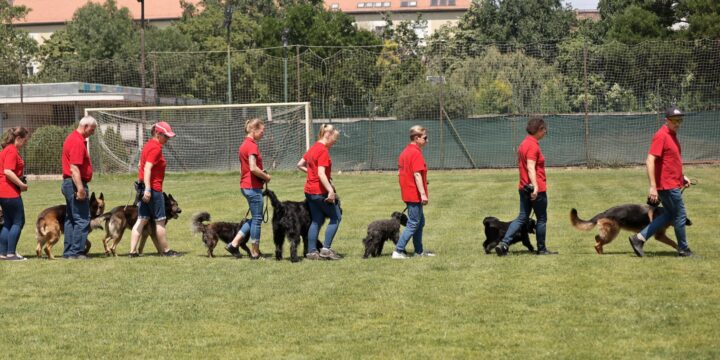 NISZ-nap bemutató – 2022. június 13.