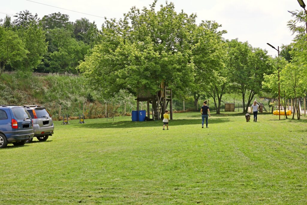 Pályaszépítő nap és „Trükkös mancsok” házi kutya-gazdi kihívás – 2024. május 20.