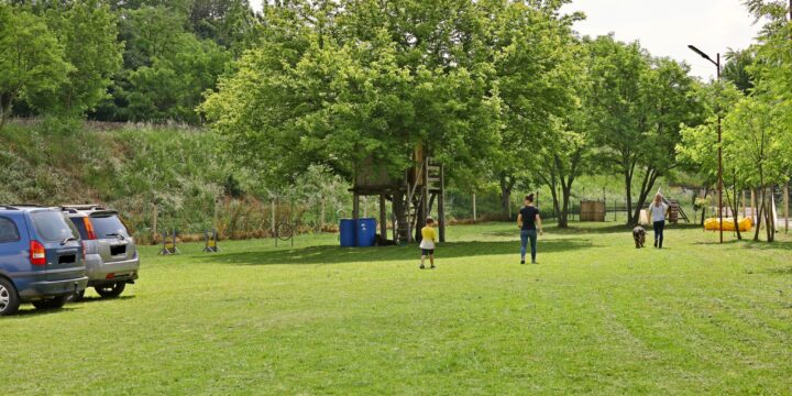 Pályaszépítő nap és „Trükkös mancsok” házi kutya-gazdi kihívás – 2024. május 20.