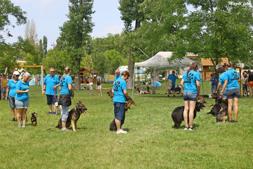 Bemutató a Csepeli Karate SE családi napján – 2024. június 8.
