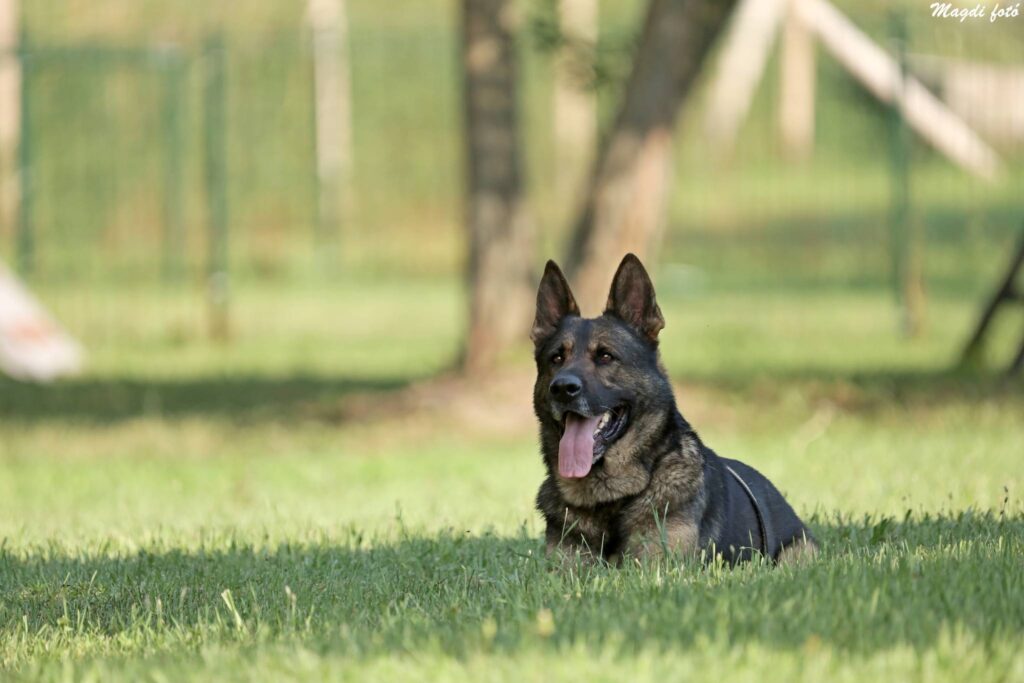 Adód 1%-ával most Te is segíthetsz nekünk!