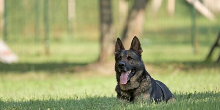 Adód 1%-ával most Te is segíthetsz nekünk!