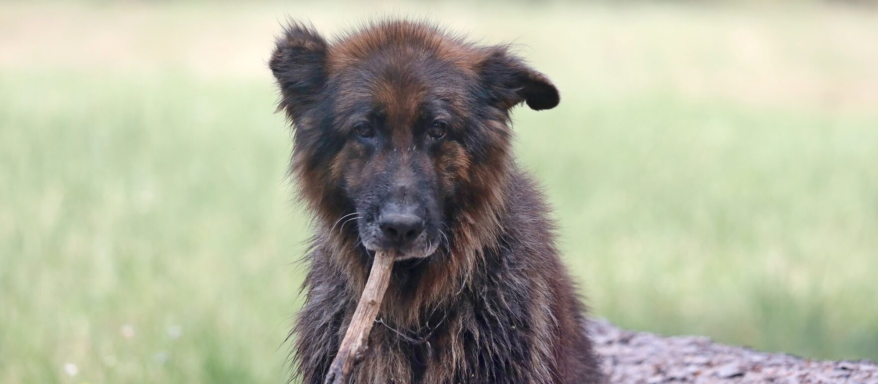 Március 15-én foglalkozásaink elmaradnak!