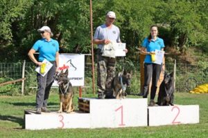 Akadályverseny - nagytestű kategória, fotó: Kremniczky Magdolna