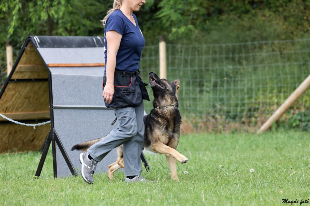 III. Bohémia Barátságos Kupa