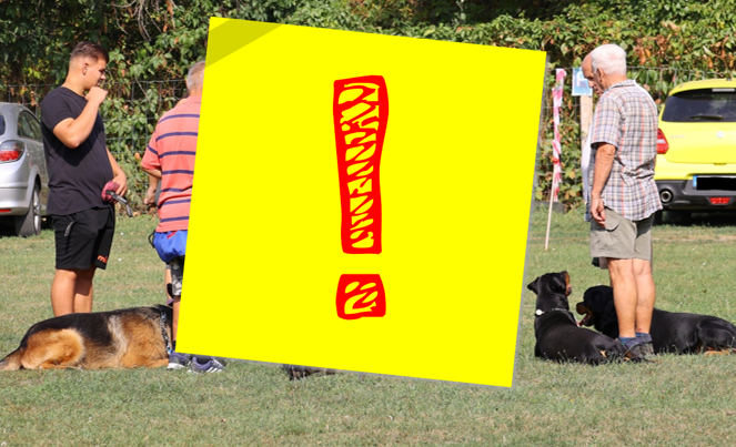 Novemberi hosszú hétvége: órarendi információk