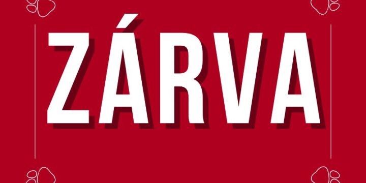 December 6-án foglalkozásaink elmaradnak!