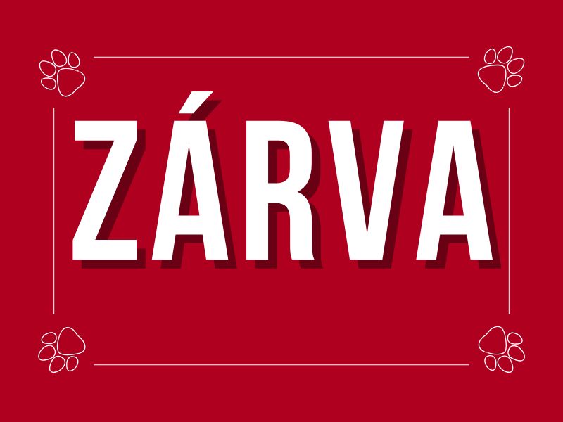 December 6-án foglalkozásaink elmaradnak!