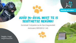 Adód 1%-ával most te is segíthetsz