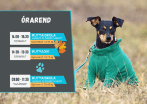 Aktuális órarend október 1-től.