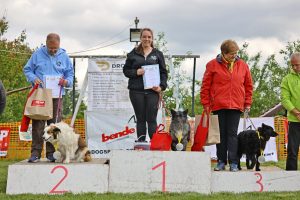 I. Ebugrató Bajnokság eredménye - 2