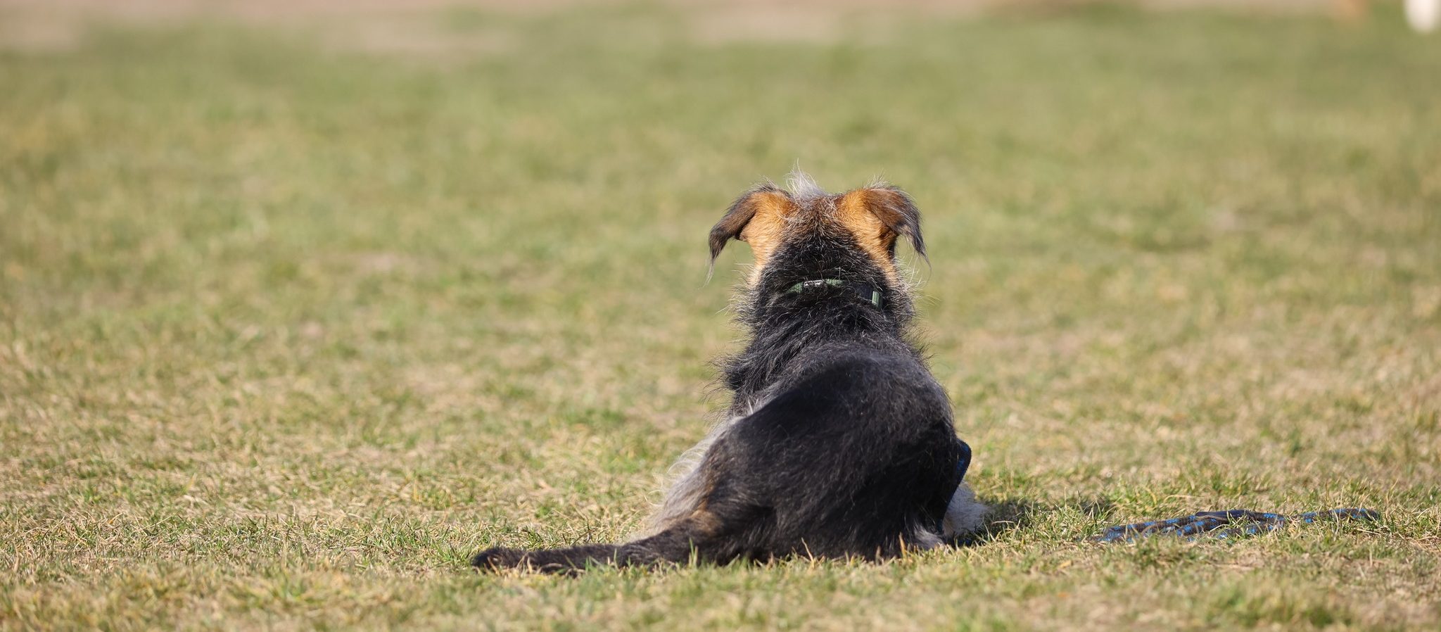 DECEMBER 6-ÁN FOGLALKOZÁSAINK ELMARADNAK!