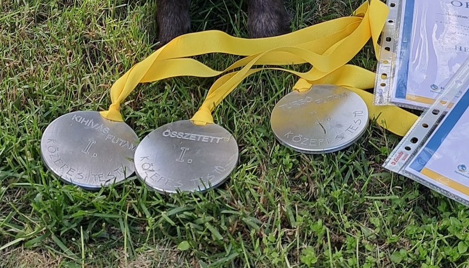 I. Ebugrató Bajnokság – iskolánk eredménye