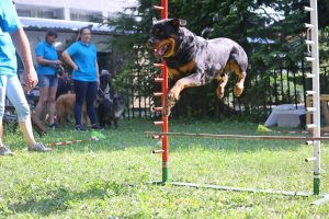 Bemutató a Baross Német Nemzetiségi Óvodában, fotó: Kovács Magdolna