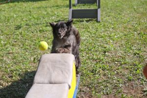Bemutató a Baross Német Nemzetiségi Óvodában, fotó: Kovács Magdolna