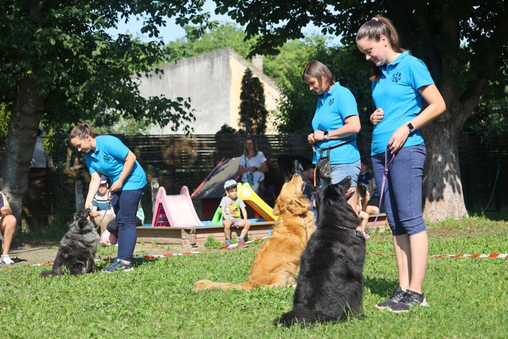 Sikeres bemutató a Baross Német Nemzetiségi Óvodában