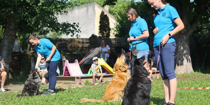 Sikeres bemutató a Baross Német Nemzetiségi Óvodában