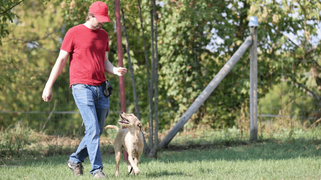 Felkészítő tréning a Bohémia Barátságos Kupára