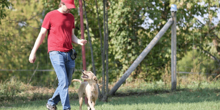 Felkészítő tréning a Bohémia Barátságos Kupára