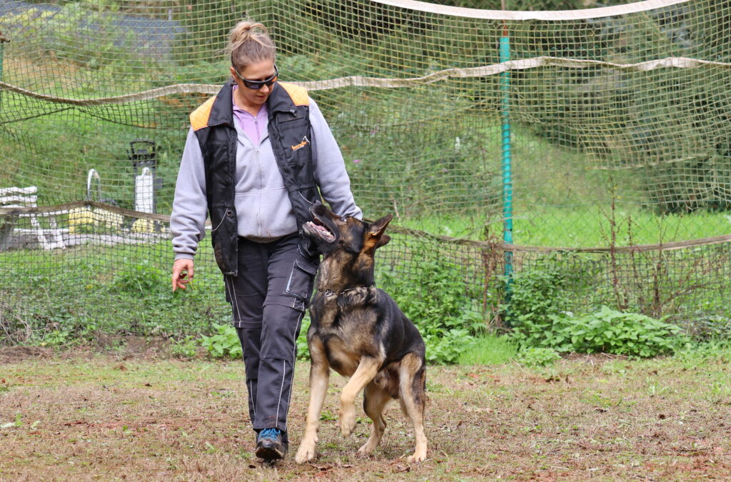 Bohémia Barátságos Kupa 2025 – Dunakeszi