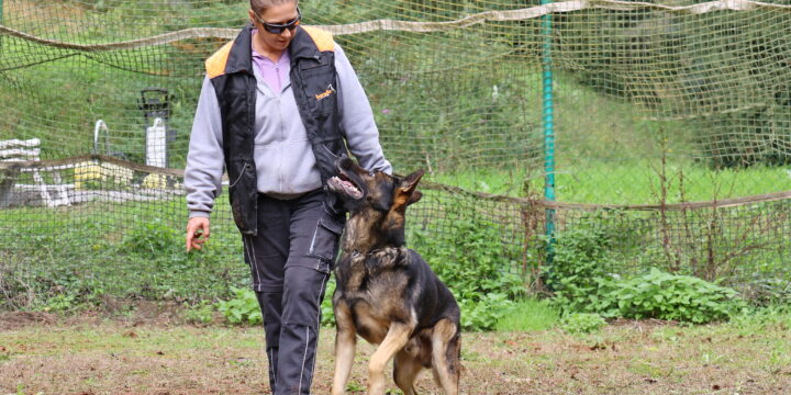 Bohémia Barátságos Kupa 2025 – Dunakeszi