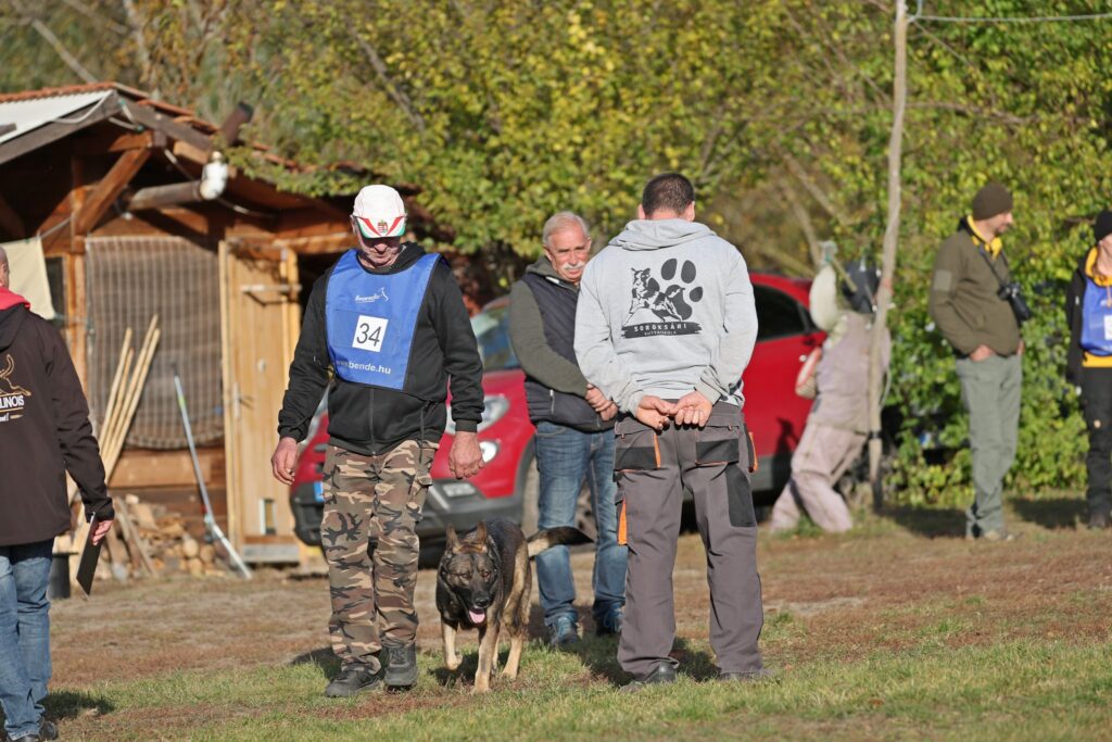 Iskolánk a IV. Bohémia Barátság Kupán