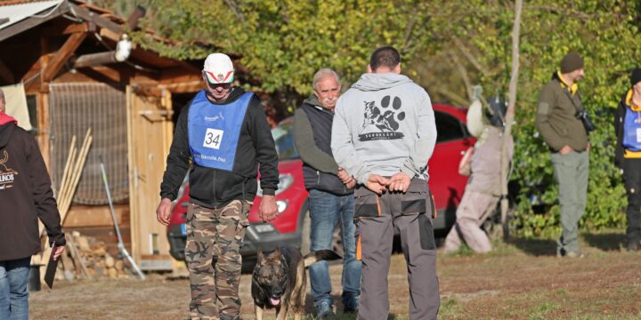 Iskolánk a IV. Bohémia Barátság Kupán