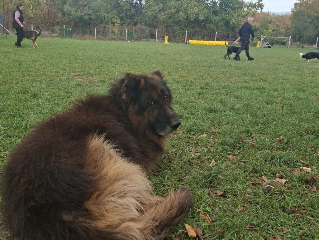 Minden fontos dátum októberben