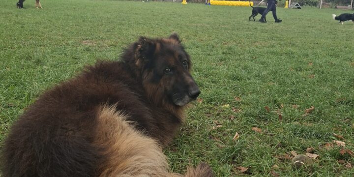 Minden fontos dátum októberben