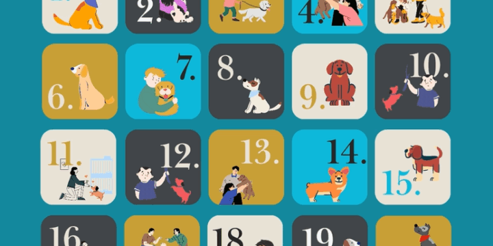 Adventi naptár 2025