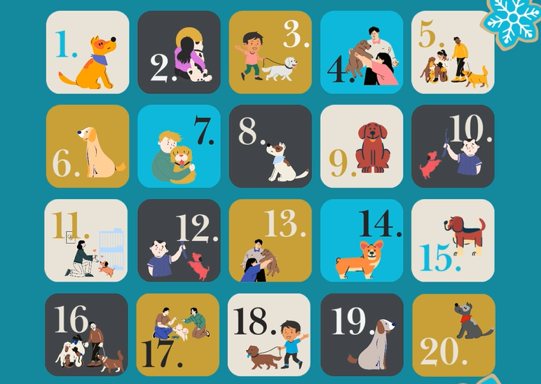 Adventi naptár 2025