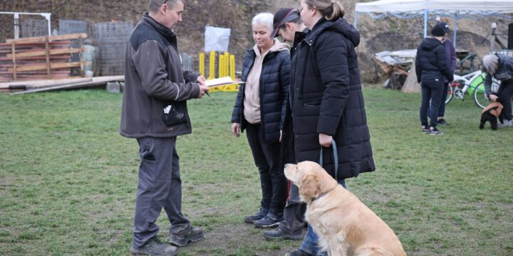 Házi engedelmességi vizsga – 2025. december 6.