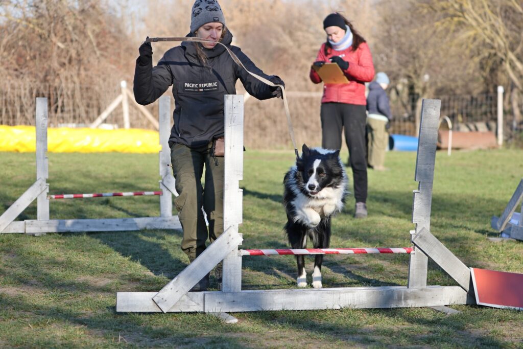 Óévbúcsúztató kutya-gazdi kihívás