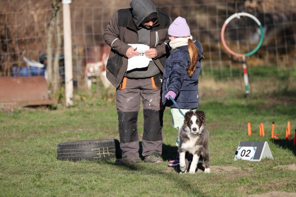 Óévbúcsúztató kutya-gazdi kihívás – 2025. december 28.
