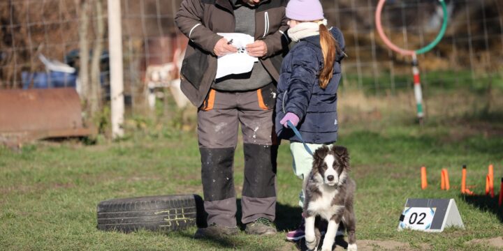 Óévbúcsúztató kutya-gazdi kihívás – 2025. december 28.