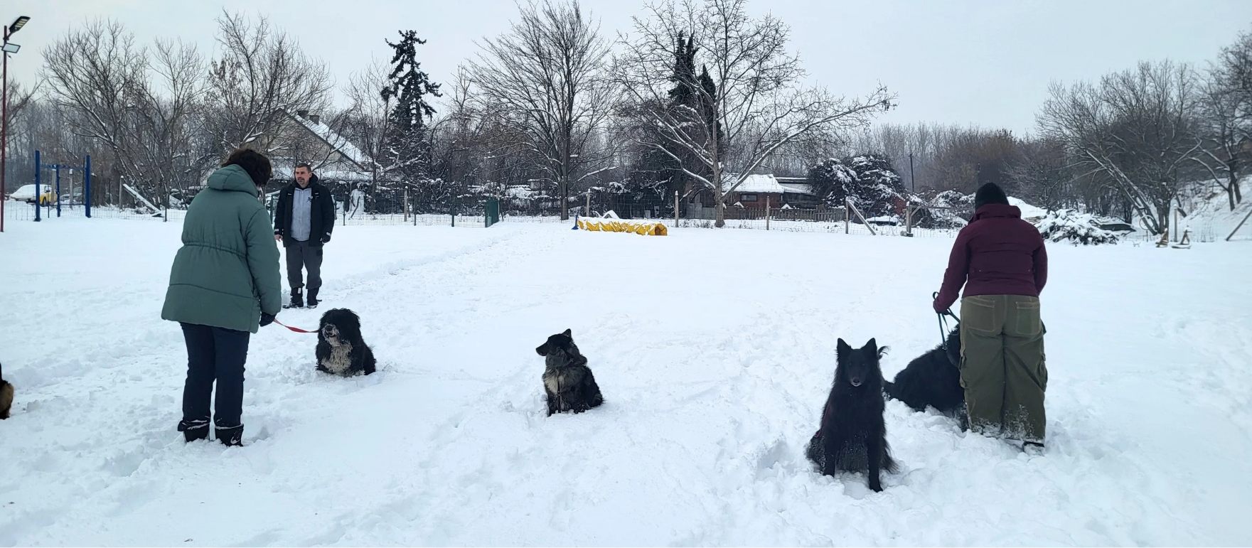 Január 24-én kutyaovi foglalkozásunk elmarad!