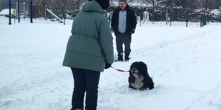 Egyéni foglakozások január 17-18-án kutyaiskolánkban