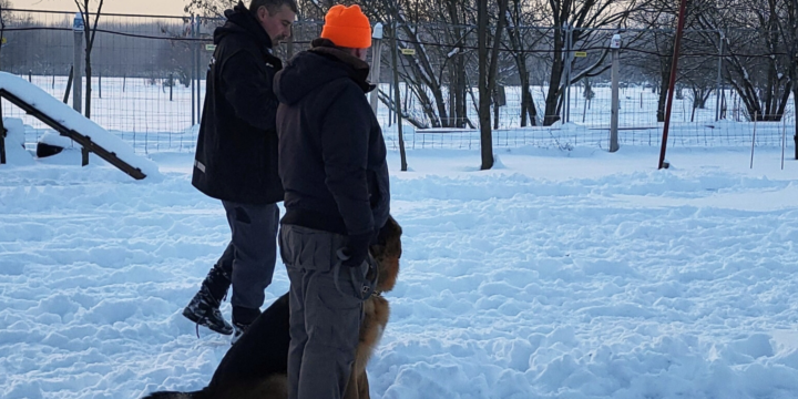 Egyéni foglakozások január 24-25-én kutyaiskolánkban
