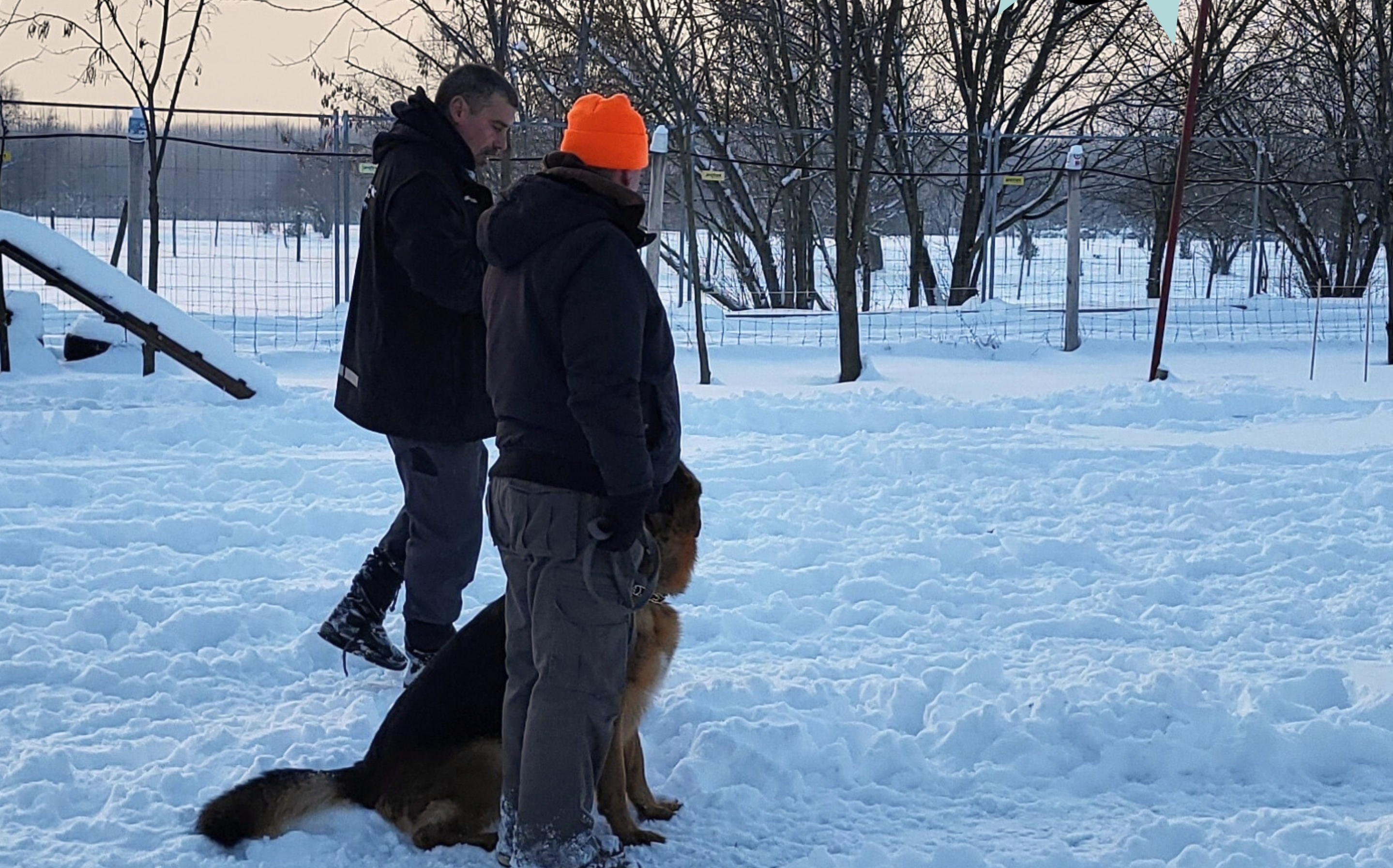 Egyéni foglakozások január 24-25-én kutyaiskolánkban