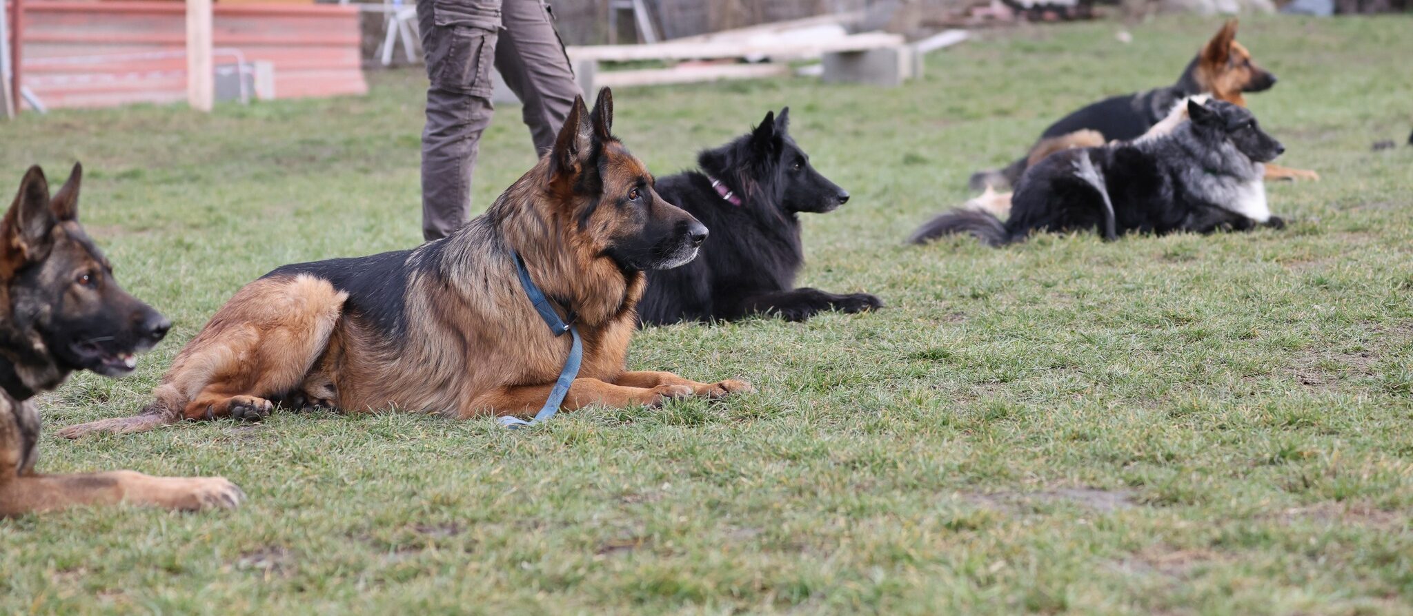 Február 15-én foglalkozásaink 10 órakor kezdődnek!
