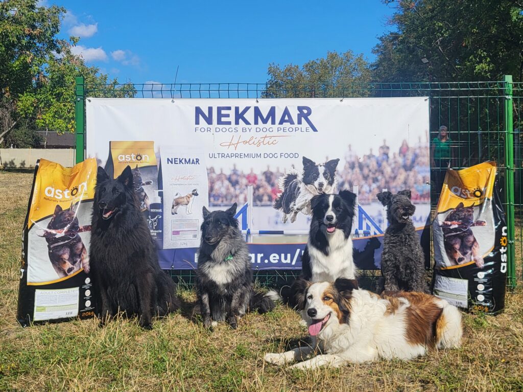Nekmar Partnerprogram