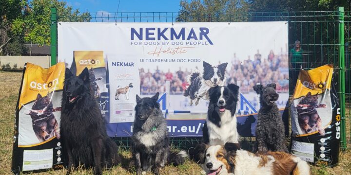 Nekmar Partnerprogram