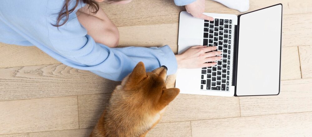 KÖTELEZŐ ONLINE JELENTKEZÉS